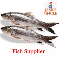 Fish supplier Mr. Kalipada Mishra in Fuleswar